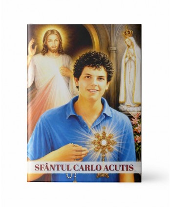 Iconiță. Sfântul Carlo Acutis