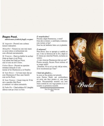 Pliant - Padre Pio. Despre...